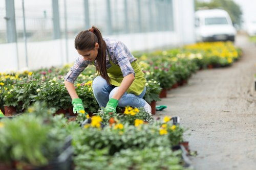 Garden waste sorting and recycling at a Wembley Park gardening site