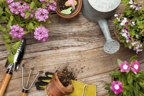 Healthy grass treatment and care in a Wembley Park residential garden