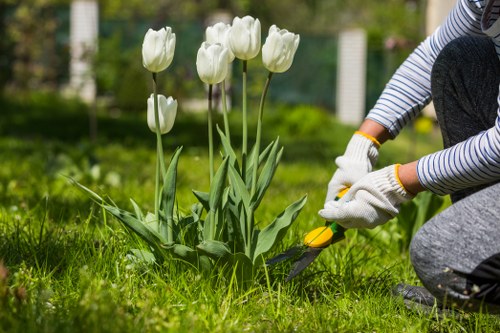 Gardening services in Wembley Park for a neat residential outdoor space