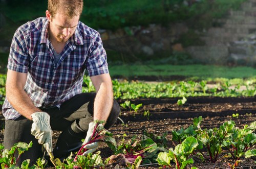 Illustration representing accessible gardening information in Wembley Park