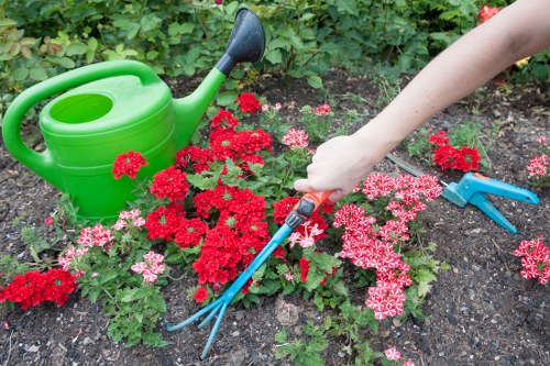 Commercial gardening services in Wembley Park for a clean and welcoming exterior
