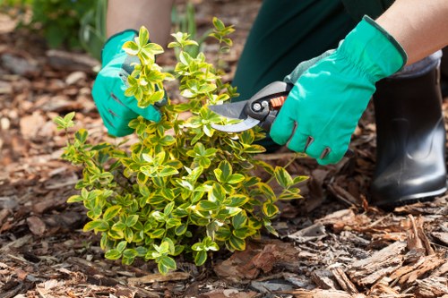 A service note sheet used to record a gardening complaint
