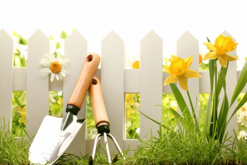 Professional garden maintenance in Wembley Park for lawns and shrubs