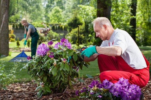 Seasonal garden clearance and debris removal in Wembley Park