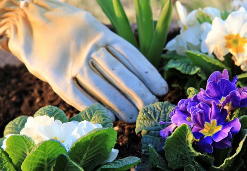 Local transfer station handling green waste from Wembley Park gardens