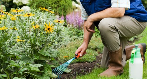 Image representing inclusive local gardening services
