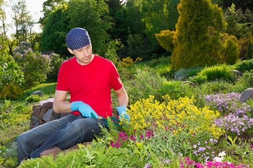 A professional gardener preparing a resolution plan for a complaint
