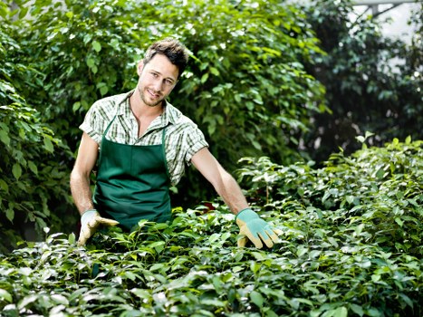 Health and safety focused gardening service carried out with professional care