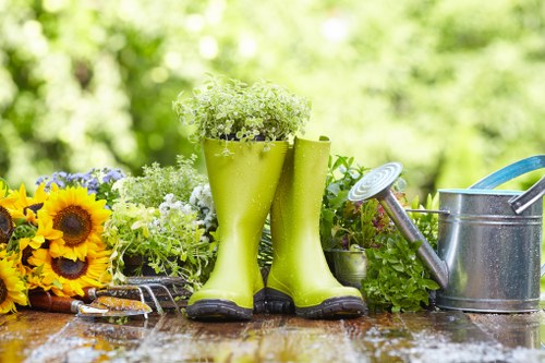 Professional garden clearance in a Wembley Park property