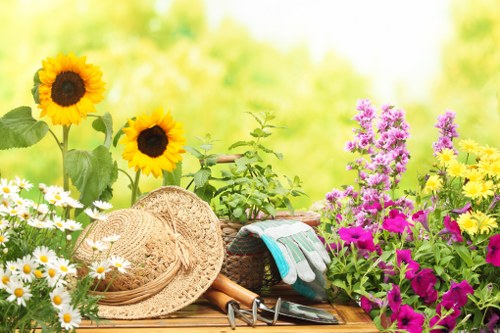 Transparent pricing breakdown for garden services in Wembley Park