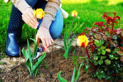 Close-up of clean lawn edges in Wembley Park