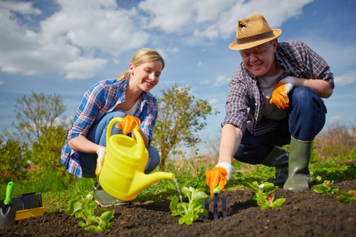 Seasonal gardening work in Wembley Park including trimming and greenery care