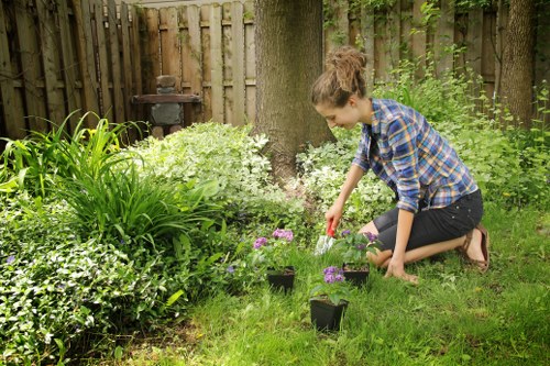 Professional Wembley Park gardeners maintaining hedges and borders