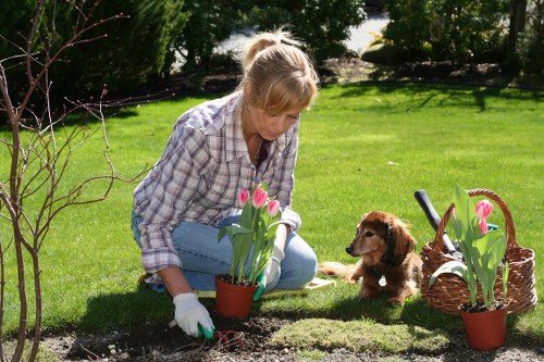 Urban garden landscaping in Wembley Park with planting and paving