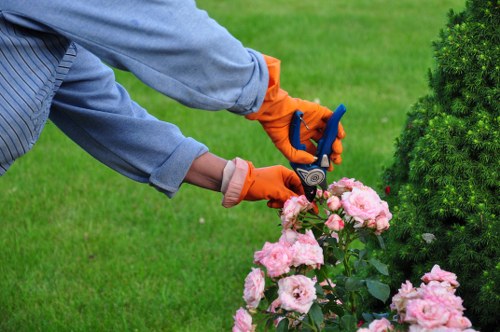 Team communication during a garden maintenance task with tools and equipment