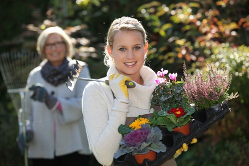 Soft landscaping and garden improvement services in Wembley Park