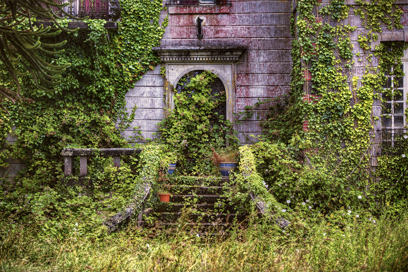 Garden outdoor space