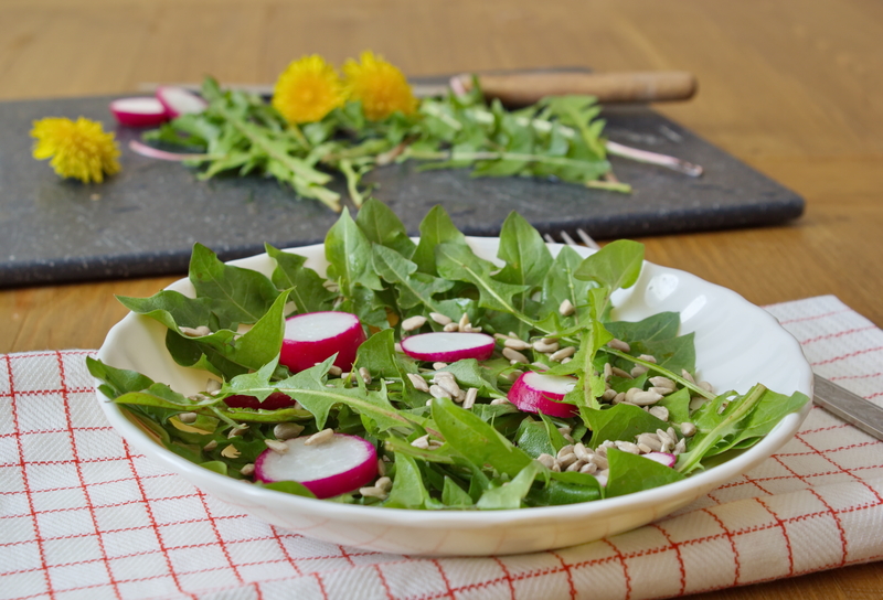 Garden outdoor space